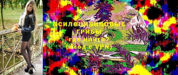 spice Богородицк