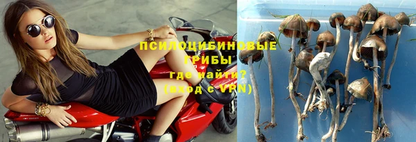 мдпв Волосово