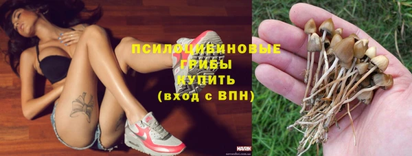 гашик Волоколамск