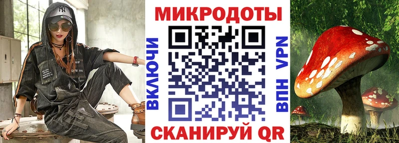 Псилоцибиновые грибы Psilocybe  Заречный 